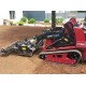 TORO DINGO EMPIERREUSE